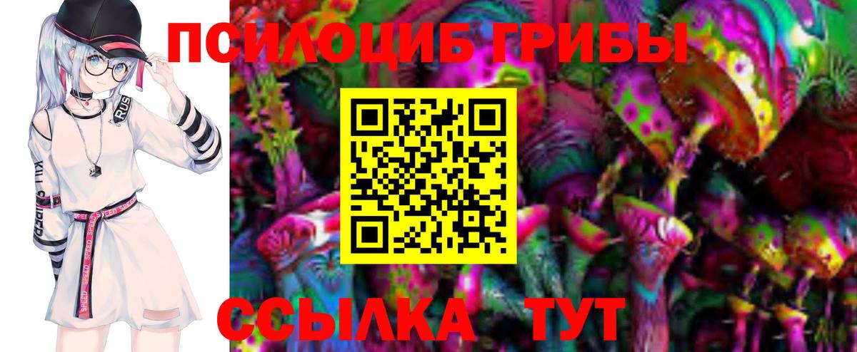 Видное  Галлюциногенные грибы ЛСД  Вход с VPN  Галлюциногенные грибы Psilocybe 